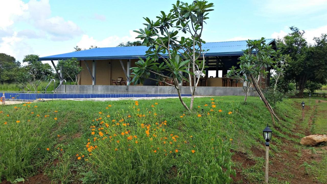 Birdwing Sigiriya Hotel ภายนอก รูปภาพ