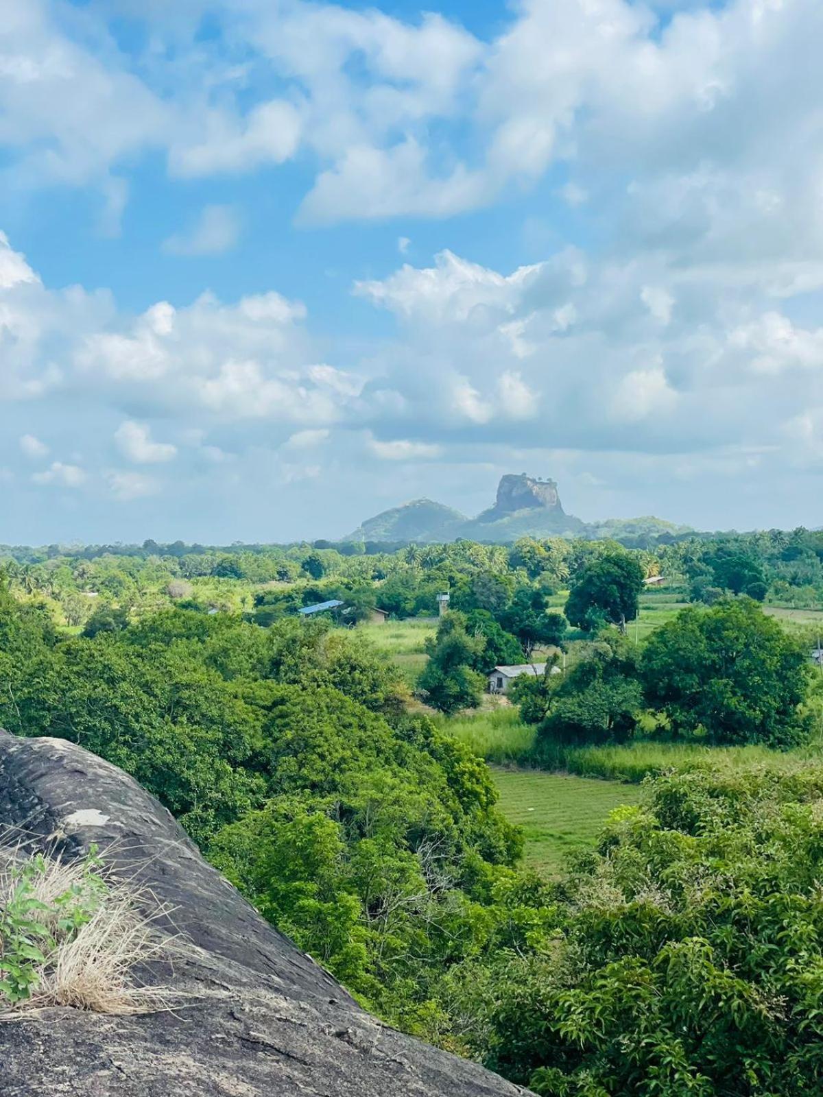 Birdwing Sigiriya Hotel ภายนอก รูปภาพ