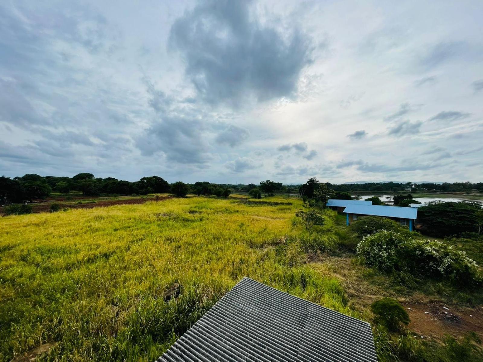 Birdwing Sigiriya Hotel ภายนอก รูปภาพ