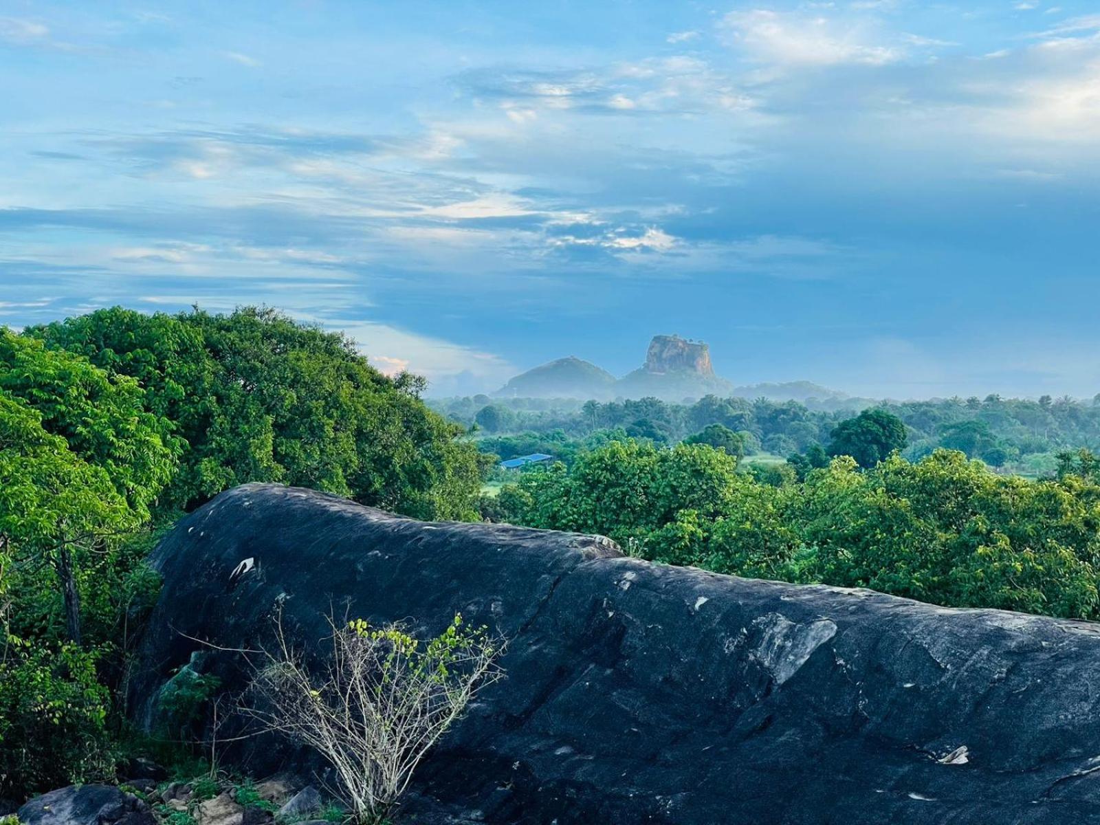 Birdwing Sigiriya Hotel ภายนอก รูปภาพ