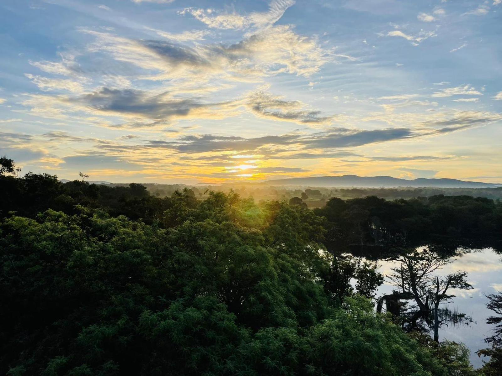 Birdwing Sigiriya Hotel ภายนอก รูปภาพ