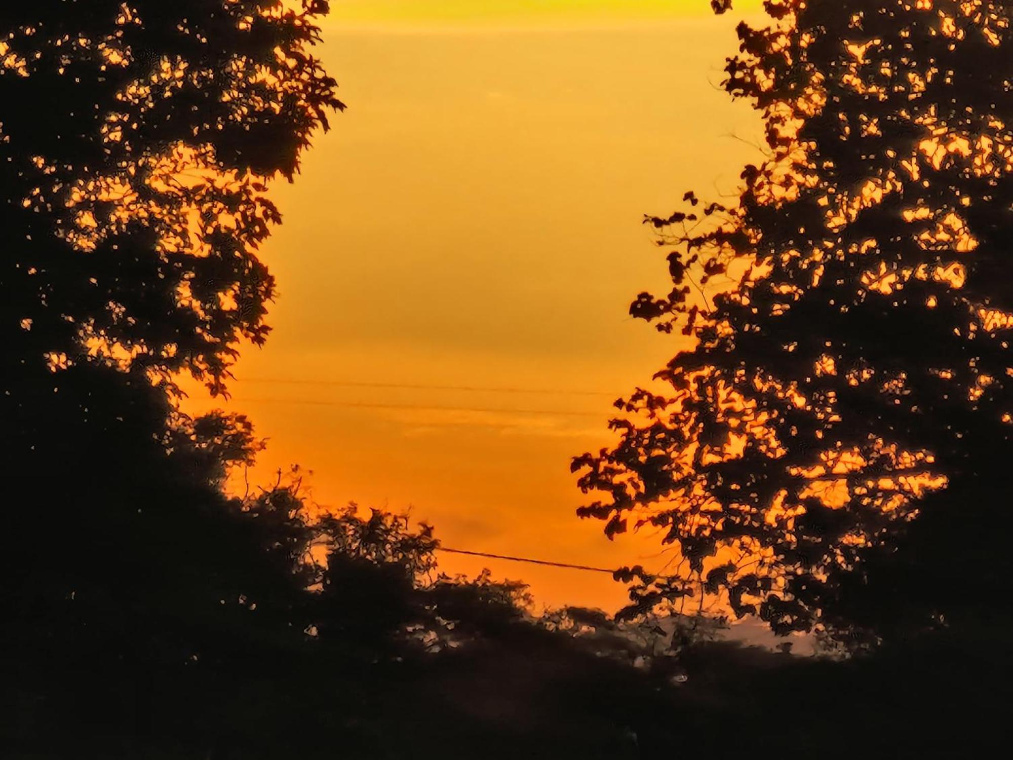 Birdwing Sigiriya Hotel ภายนอก รูปภาพ